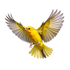  "Bright Yellow Bird with Outstretched Wings in Flight, Isolated PNG"And transparent the background.