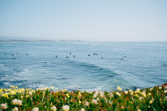 Surfers wading in the ocean waiting for waves