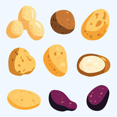 Set of colorful potato illustrations with whole, cut, and sliced varieties including yellow, brown, and purple potatoes in flat minimalist vector style for food design and agriculture concepts