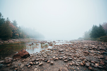 Misty shoreline of Jordan Pond in Acadia National Park.