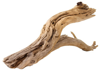 Fototapeta premium Isolated Driftwood Piece with Twisted Shape
