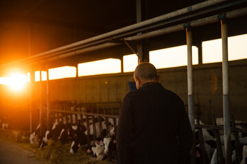 Elderly farmer walking through barn at sunset © Cavan
