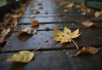 Fallen leaves scattered across a moist wooden boardwalk at dawn