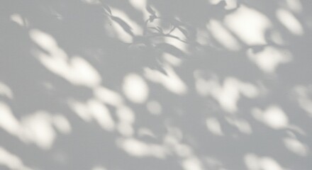 Abstract Background Grey Wall With Leaf Shadow