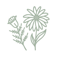 Floral Line Art: Black-Eyed Susan & Tetratheca