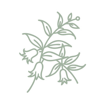 sage green floral line art clip art preview