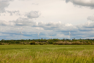 Wind power generators stand in a field