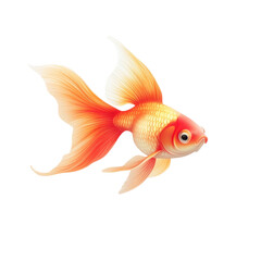 Fototapeta premium Elegant orange goldfish fins flowing against black Intricate scales on transparent background