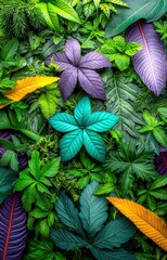 Obraz premium red and green leaves