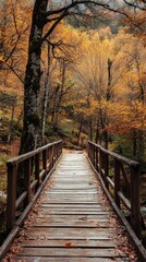 A wooden bridge in a forest with autumn foliage