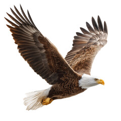Majestic Eagle in Flight: A Symbol of Freedom , isolated on white background png