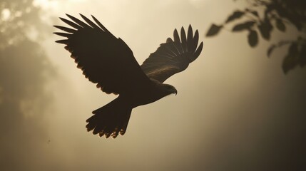 Obraz premium A Javan Hawk Eagle flies hunting in the misty morning light, background wallpaper AI generated image