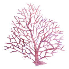 Fototapeta premium Watercolor illustration of delicate pink coral with branching structure. Inspired by marine nature and ocean reef life. Ideal for sea-themed designs, kids projects, or summer decorations.