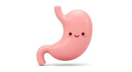 Adorable Cartoon Stomach Illustration: Digestive System Anatomy