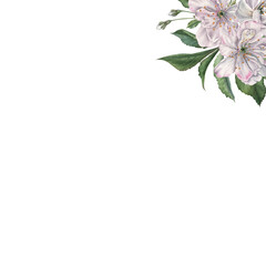 Square frame with blooming cherry flowers in the corner with space for text. Hand drawn watercolor illustration on isolated background. Banner for wedding invitations or other special occasions.