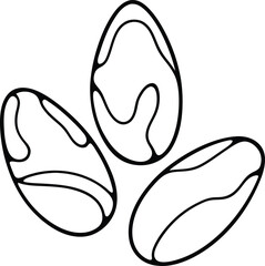 Brazil nuts icon vector illustration