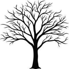 Obraz premium tree silhouette isolated on white