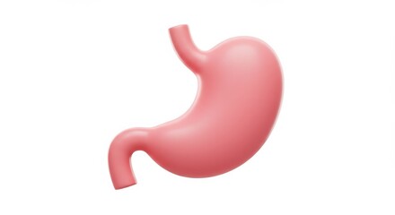 Human Stomach Anatomy Illustration: 3D Render of Digestive System Organ