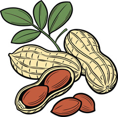 Peanuts in the shell, linear icon. vector illustration