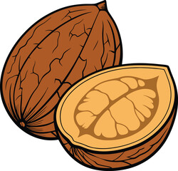 walnut vector icon on white background