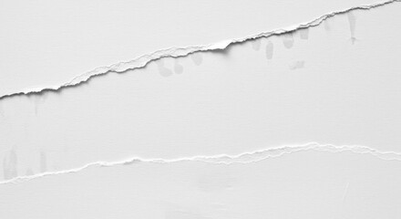 Abstract Background White Torn Paper Texture