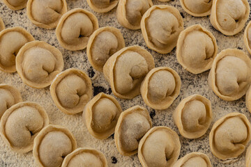 Handmade dumplings arranged on a floured surface for preparation
