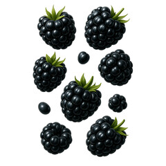 blackberry isolated on transparent or white background png