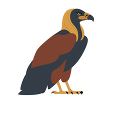 Nekhbet god peeking, Vulture,