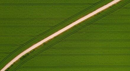 Aerial View of Dirt Road Through Green Field