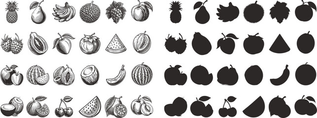 Fototapeta premium Diverse Fruits Collection Detailed Drawings and Silhouettes, Summer Season Healthy Fruits Engraving Monochrome Vector Illustration and Silhouette Design Set