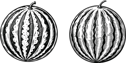 Vintage Style Watermelons Black and White Vector Illustration
