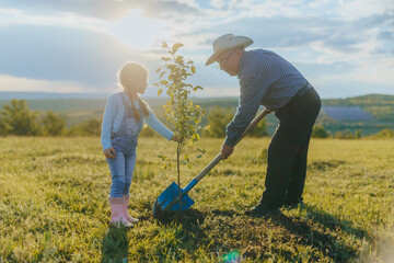 Little Girl and Her Grandfather Planting a Tree on a Sunny Day