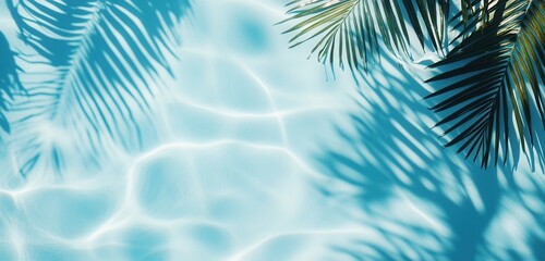 palm leaf shadow and water ripples on light blue background, summer banner mockup