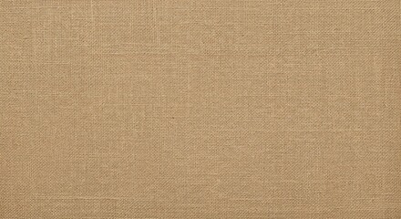 Brown Beige Woven Fabric Texture Background