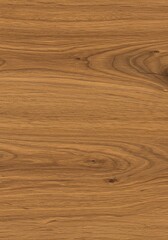 Fototapeta premium Brown Wood Texture Background Photo