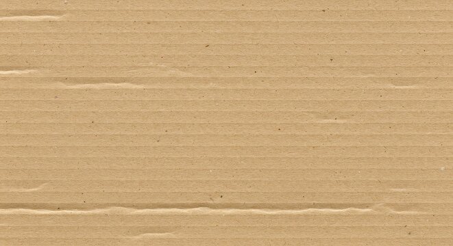 Cardboard Back