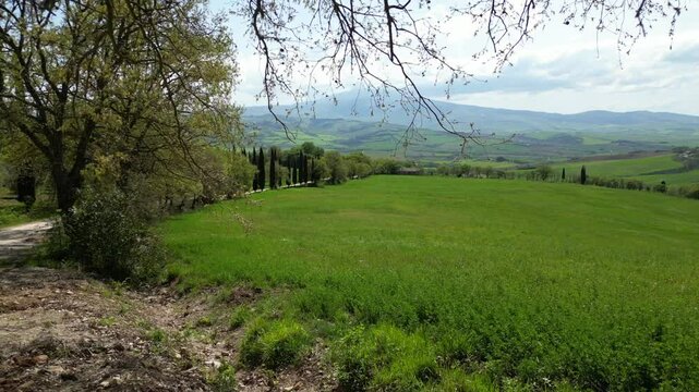 Italy, Tuscany, 05,23,25 the famous winding road with cypress trees close to
 La Foce in Castelluccio Val D'Orcia Tuscan landscape : drone aerial view of Tuscany Apennines and amazing spring nature 