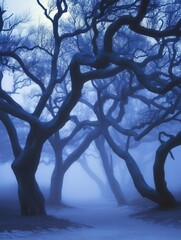 Mystic Blue Foggy Forest Path Twisted Trees Nature Scene dark mist haze cold calm moody twigs woods