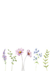 Greeting card template with watercolor wild flowers, floral border with place for text. Illustration hand painted. Isolated on white background.