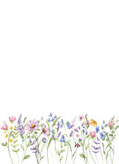 Greeting card template with watercolor wild flowers, floral border with place for text. Illustration hand painted. Isolated on white background.