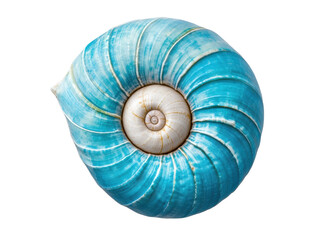 Obraz premium Vibrant turquoise sea shell with intricate spiral design, cut out transparent