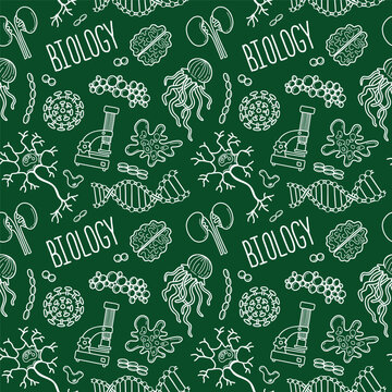 School biology background, outline chalk scketch science laboratory background. Medical or biology lab, school education concept. Vector seamless pattern illustration