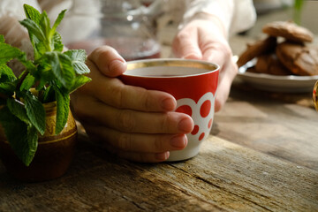 Drinking tea during morning breakfast in rustic cozy kitchen. Female hands holding mug of tea with fresh mint. 