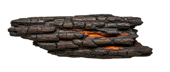 tree trunk isolated on white