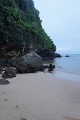 coral reef in the shore at sunny day