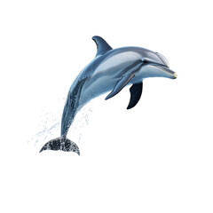 Fototapeta premium Sleek dolphin leaps water cascading dark background graceful aquatic on transparent background