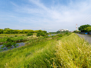 新緑の草木に覆われた猪名川沿いの景色