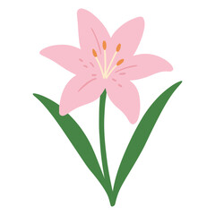 Naklejka premium pink lily illustration, Colorful Garden pink lily vector, Colorful Gardening Clipart, Gardener design sublimation 