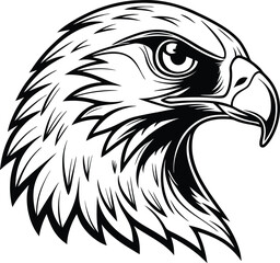 eagle head isolated on white