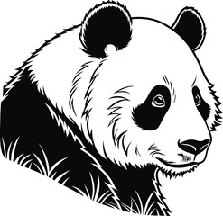 panda bear vector illustration